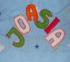 DSC02186.JPG