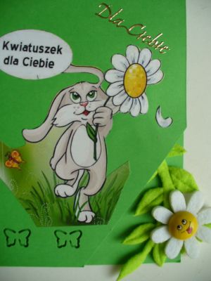 Kliknij aby zobaczy peny rozmiar