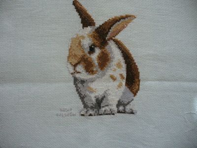 Kliknij aby zobaczy� pe�ny rozmiar