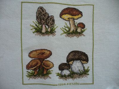 Kliknij aby zobaczy� pe�ny rozmiar