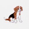 K 1822 - Beagle.jpg