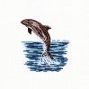 Kz - Delfin.jpg