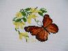 Motyi z kwiatkiem (600 x 450).jpg