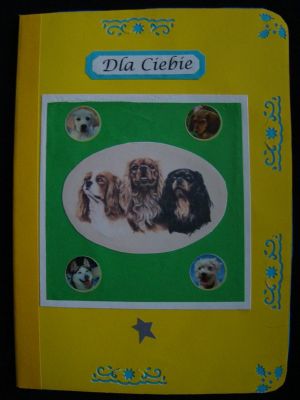 Kliknij aby zobaczy peny rozmiar
