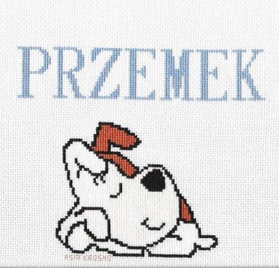 Kliknij aby zobaczy peny rozmiar