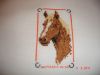DSC03975.JPG