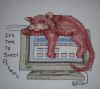 Computer Cat - Kinga k869.jpg