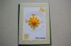 DSC02507.JPG